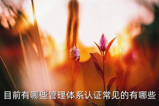 目前有哪些管理体系认证常见的有哪些